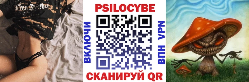 купить  сайты  Боровск  Псилоцибиновые грибы Magic Shrooms 