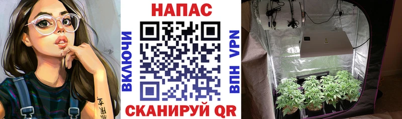 shop телеграм  blacksprut сайт  Боровск  Конопля Amnesia 